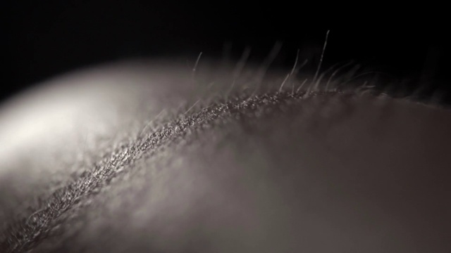 Video Reference: Water, Flash photography, Sky, Midnight, Astronomical object, Event, Darkness, Font, Meteorological phenomenon, Macro photography