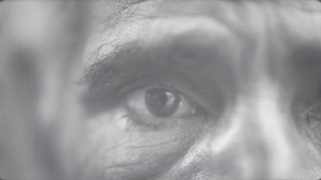 Video Reference: Eyelash, Human body, Flash photography, Grey, Fur, Darkness, Electric blue, Monochrome photography, Monochrome, Macro photography