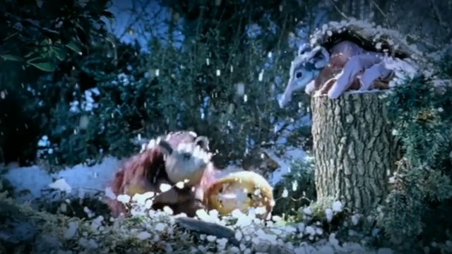 Video Reference: Plant, Snow, Mammal, Tree, Grass, Freezing, People in nature, Fun, Event, Art