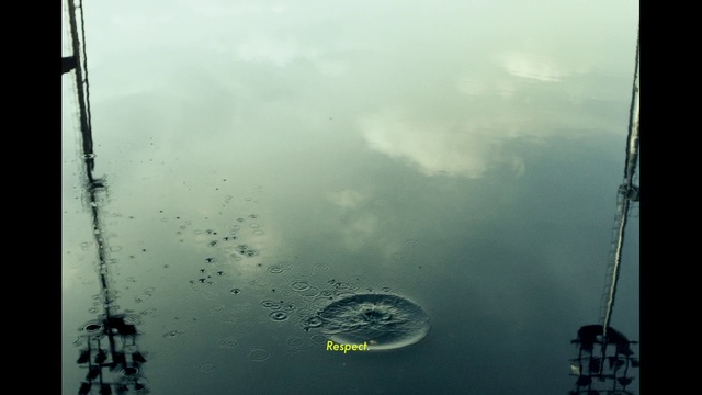 Video Reference: Cloud, Sky, Water, Atmosphere, Liquid, Nature, Atmospheric phenomenon, Plant, Morning, Rectangle