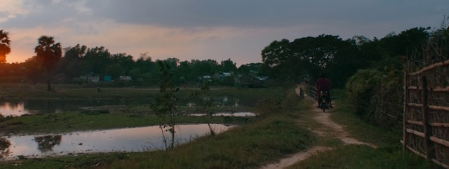 Video Reference: Water, Plant, Cloud, Sky, Natural landscape, Tree, Land lot, Lake, Bank, Plain