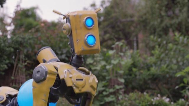 Video Reference: Plant, Tree, Grass, Biome, Traffic light, Art, Sky, Cameras & optics, Traffic sign, signaling device