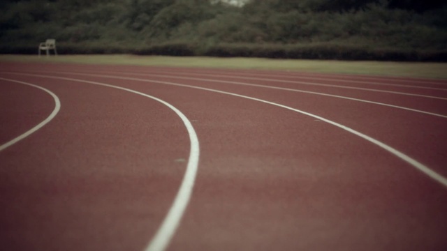 Video Reference: Road surface, Asphalt, Road, Grass, Wood, Tar, Composite material, Landscape, Tree, Nonbuilding structure