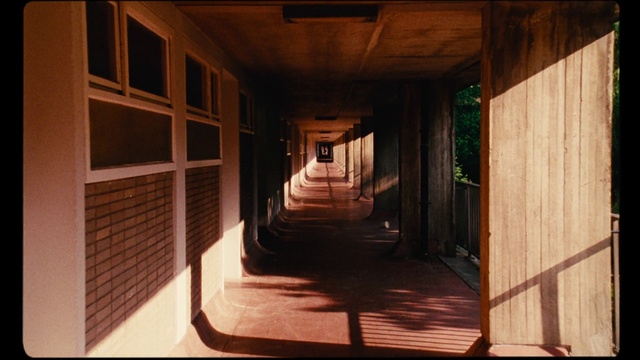 Video Reference: Wood, Interior design, Fixture, Window, Tints and shades, Symmetry, Flooring, Darkness, Room, Hardwood