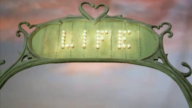 Video Reference: Plant, Terrestrial plant, Insect, Art, Arthropod, Pattern, Metal, Personal protective equipment, Still life photography, Macro photography