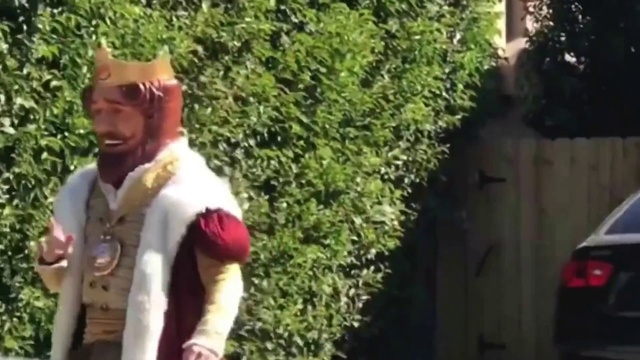 Video Reference: Plant, Gesture, Grass, Glove, Tree, Fun, Eyewear, Toy, Leisure, Recreation