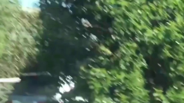 Video Reference: Water, Plant, Terrestrial plant, Automotive lighting, Tree, Automotive exterior, Twig, Automotive tire, Landscape, Motor vehicle