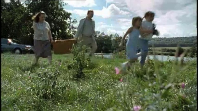 Video Reference: Plant, Cloud, Sky, Vertebrate, Tree, Mammal, Land lot, Grass, Flower, People in nature