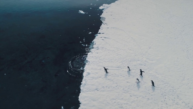 Video Reference: Water, Slope, Ice cap, Polar ice cap, Freezing, Landscape, Geological phenomenon, Wind wave, Horizon, Glacial landform