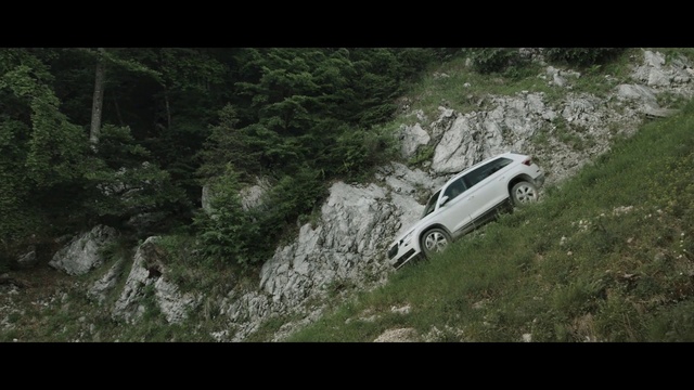 Video Reference: Tire, Wheel, Plant, Car, Vehicle, Automotive tire, Motor vehicle, Automotive design, Automotive exterior, Racing