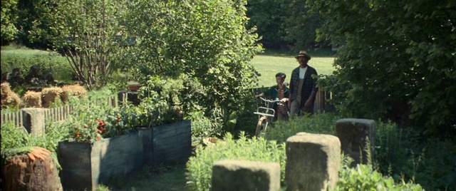 Video Reference: Plant, Plant community, Leaf, Botany, People in nature, Tree, Vegetation, Grass, Biome, Shrub