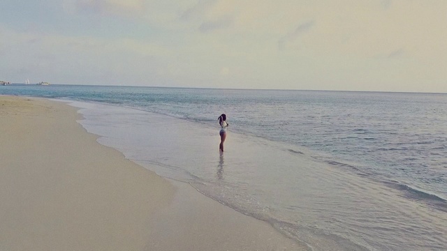 Video Reference: Water, Cloud, Sky, Fluid, Beach, Coastal and oceanic landforms, Horizon, Wind wave, Calm, Landscape