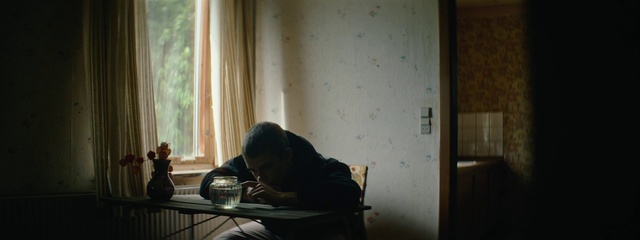 Video Reference: Window, Wood, Comfort, Table, Curtain, Tableware, Flooring, Tints and shades, Shade, Hardwood