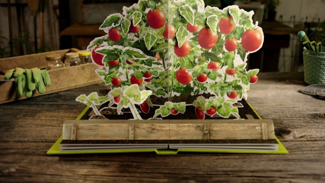 Video Reference: Flower, Plant, Fruit, Petal, Wood, Artificial flower, Bouquet, Flower Arranging, Rose, Art