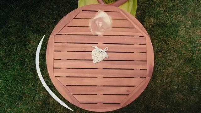 Video Reference: Plant, Wood, Watercraft, Boat, Wood stain, Vehicle, Grass, Font, Circle, Musical instrument