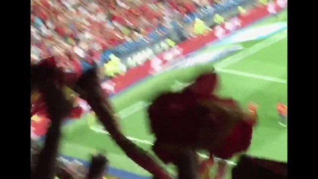 Video Reference: Soccer, Plant, Player, Grass, Ball game, Fan, Team sport, Football, Competition event, Display device