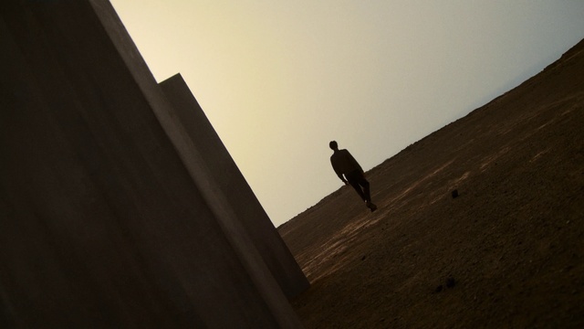 Video Reference: Bird, Sky, Wood, Tints and shades, Beak, Landscape, Horizon, Water, Wing, Shadow