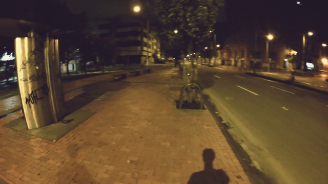 Video Reference: Street light, Automotive lighting, Plant, Road surface, Leaf, Infrastructure, Building, Tree, Thoroughfare, Asphalt