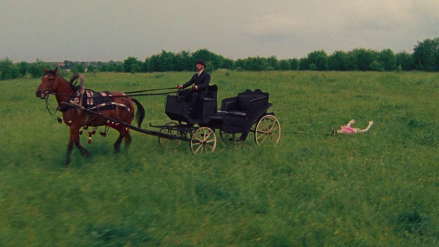 Video Reference: Horse, Wheel, Tire, Sky, Vertebrate, Vehicle, Working animal, Tree, Horse and buggy, Mammal