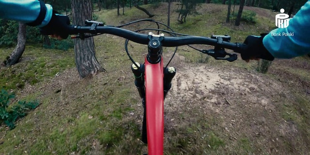 Video Reference: Bicycle, Bicycle frame, Plant, Bicycle handlebar, Bicycle tire, Bicycles--Equipment and supplies, Bicycle fork, Bicycle seatpost, Bicycle accessory, Vehicle