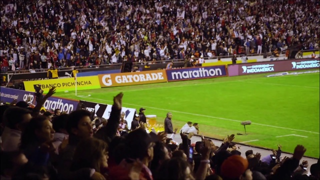 Video Reference: World, Player, Ball game, Fan, Championship, Competition event, Tournament, Team sport, Grass, Sports