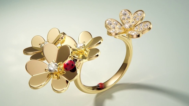 Video Reference: Body jewelry, Gold, Natural material, Petal, Plant, Wedding ceremony supply, Headgear, Silver, Finger, Headpiece