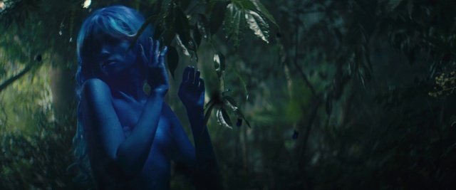 Video Reference: Plant, Terrestrial plant, Cg artwork, Art, Electric blue, Wing, Darkness, Fictional character, Forest, Mythology