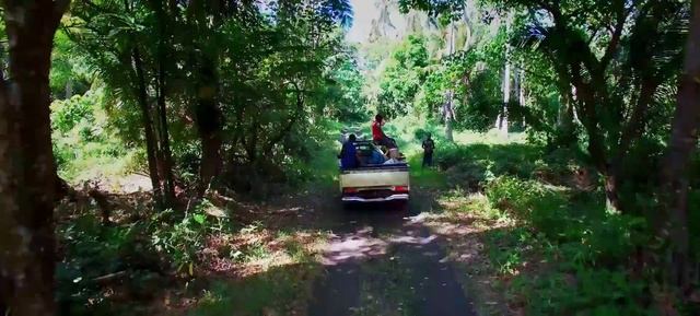 Video Reference: Plant, Tire, Vehicle, Car, Motor vehicle, Tree, Wheel, Terrestrial plant, Grass, Automotive tire