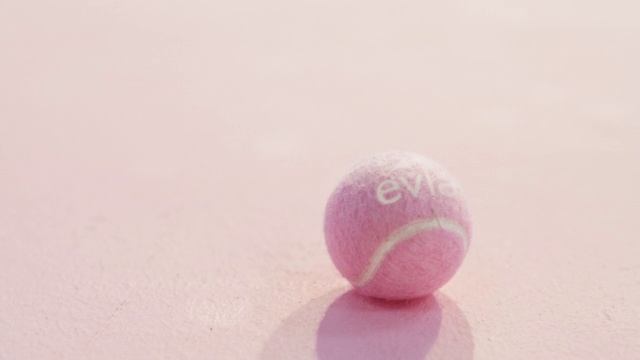 Video Reference: Ball, Sports equipment, Magenta, Circle, Sports toy, Toy, Balance, Recreation, Ball, Sphere