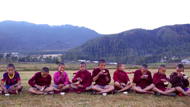 Video Reference: Sky, Mountain, Plant, Grass, Tree, Travel, Leisure, Recreation, Grassland, Landscape