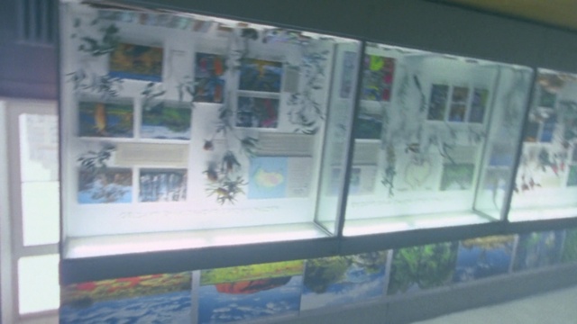 Video Reference: World, Art, Toy, Display case, Technology, Machine, Electronic device, Building, Urban design, Font