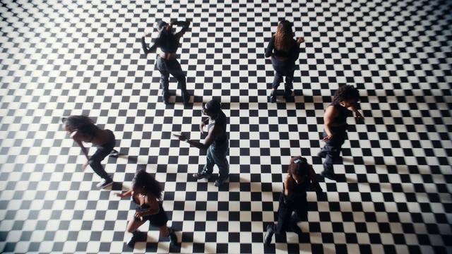 Video Reference: Photograph, White, Vertebrate, Light, Black, World, Lighting, Organism, Floor, Line