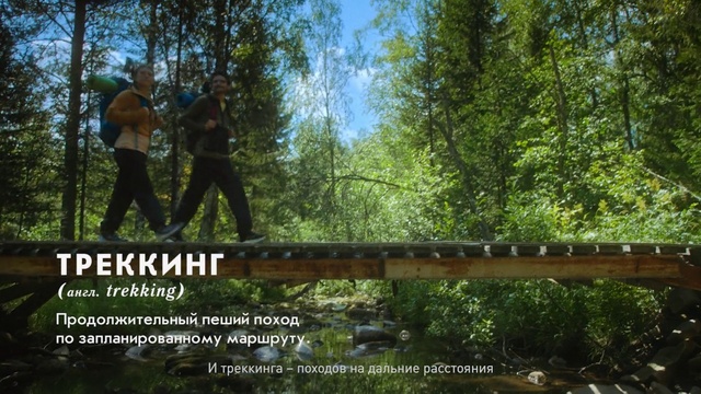 Video Reference: Sky, Wood, Natural landscape, Terrestrial plant, Biome, Tree, People in nature, Plant, Landscape, Leisure