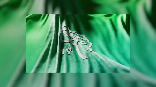 Video Reference: green shirt, fabric, close-up, printed graphic, number 19, clothing, motion blur, texture, folds, sportswear