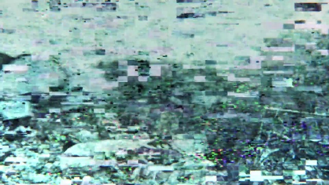 Video Reference: Aqua, Groundcover, City, Urban design, Event, Grass, Pattern, Building, Art, Crowd