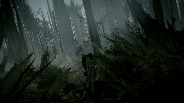 Video Reference: Bicycle, Plant, Tire, Bicycle wheel, Terrestrial plant, Atmospheric phenomenon, Wood, Grass, Forest, Tree