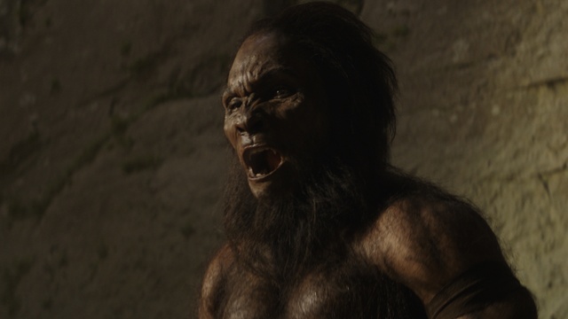 Video Reference: Primate, Jaw, Wrinkle, Terrestrial animal, Darkness, Smile, Art, Chest, Fictional character, Wildlife