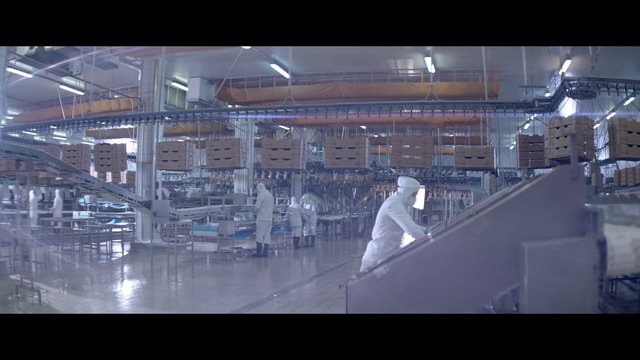 Video Reference: Rectangle, Electricity, Building, Wedding dress, Event, Space, Metal, Glass, City, Flooring