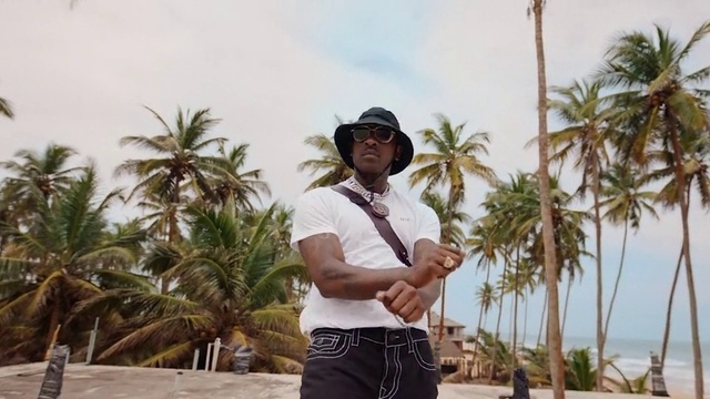 Video Reference: Sky, Cloud, Hat, Tree, Fedora, Arecales, Travel, Sun hat, Plant, Beach