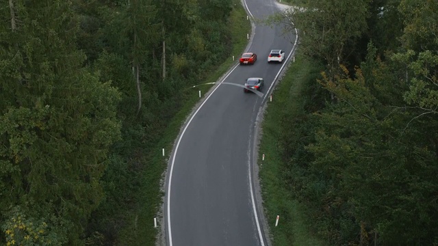 Video Reference: Car, Vehicle, Plant, Road surface, Tree, Asphalt, Slope, Motor vehicle, Natural landscape, Thoroughfare
