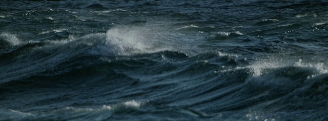 Video Reference: Water, Liquid, Fluid, Wind wave, Wind, Lake, Horizon, Ocean, Wave, Marine mammal