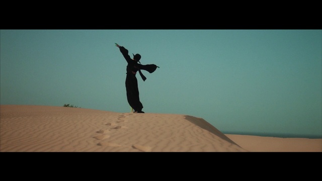 Video Reference: Sky, Gesture, Slope, Happy, Landscape, Horizon, Erg, Singing sand, Aeolian landform, Dune
