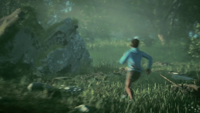 Video Reference: Plant, People in nature, Natural landscape, Terrestrial plant, Atmospheric phenomenon, Grass, Cg artwork, Landscape, Grassland, Underwater