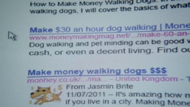 Video Reference: computer screen, search results, dog walking, make money, online search, cursor, webpage, text, internet, advertising