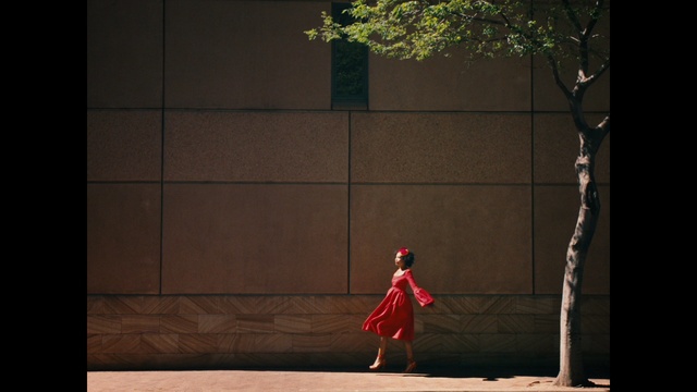 Video Reference: Lighting, Dress, Tree, Tints and shades, Rectangle, Flooring, Event, Darkness, Shadow, Carmine