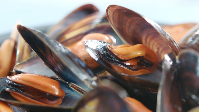 Video Reference: Food, Ingredient, Bivalve, Recipe, Cuisine, Dish, Tree, Seafood, Wood, Clam