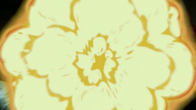 Video Reference: Plant, Flower, Petal, Flowering plant, Art, Pattern, Circle, Symmetry, Visual arts, Font