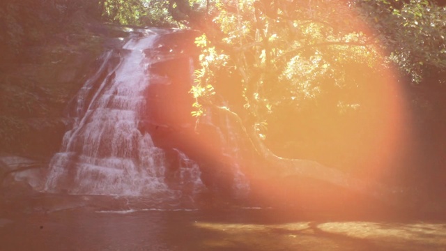 Video Reference: Water, Plant, Natural landscape, Natural environment, Branch, Wood, Orange, Tree, Watercourse, Atmospheric phenomenon