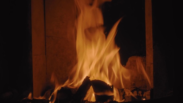 Video Reference: Fire, Flame, Wood, Bonfire, Gas, Heat, Event, Fireplace, Darkness, Campfire