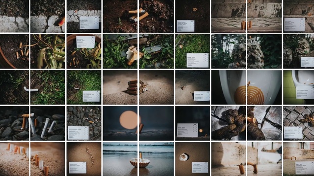 Video Reference: Photograph, Light, Nature, Black, Lighting, Line, Wood, Adaptation, Tints and shades, Tree